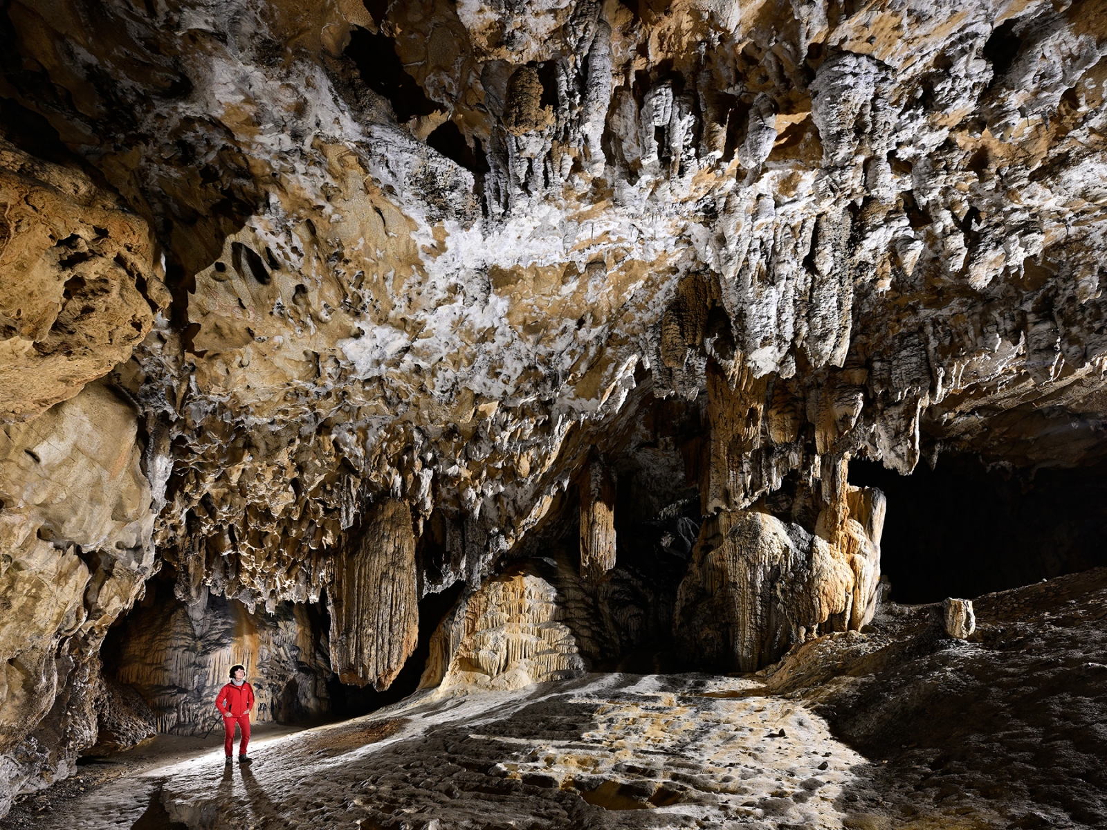 Grotte préhistorique de Bédeilhac (Ariège) - Ensemble concrétionné avec gour, colonnes, stalactites et lapiaz de voûte avant le labyrinthe