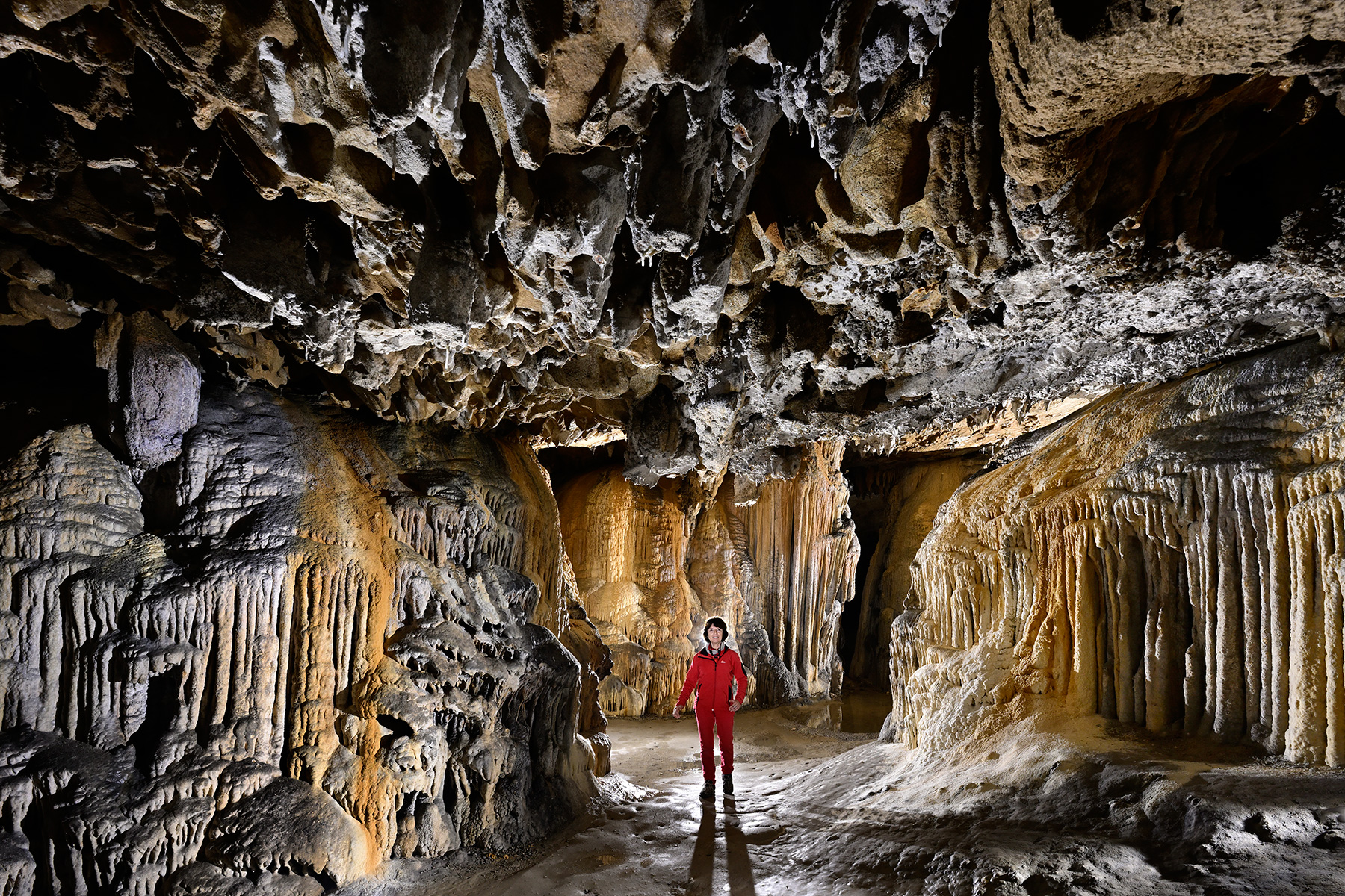 Grotte préhistorique de Bédeilhac (Ariège) - Passage concrétionné du labyrinthe