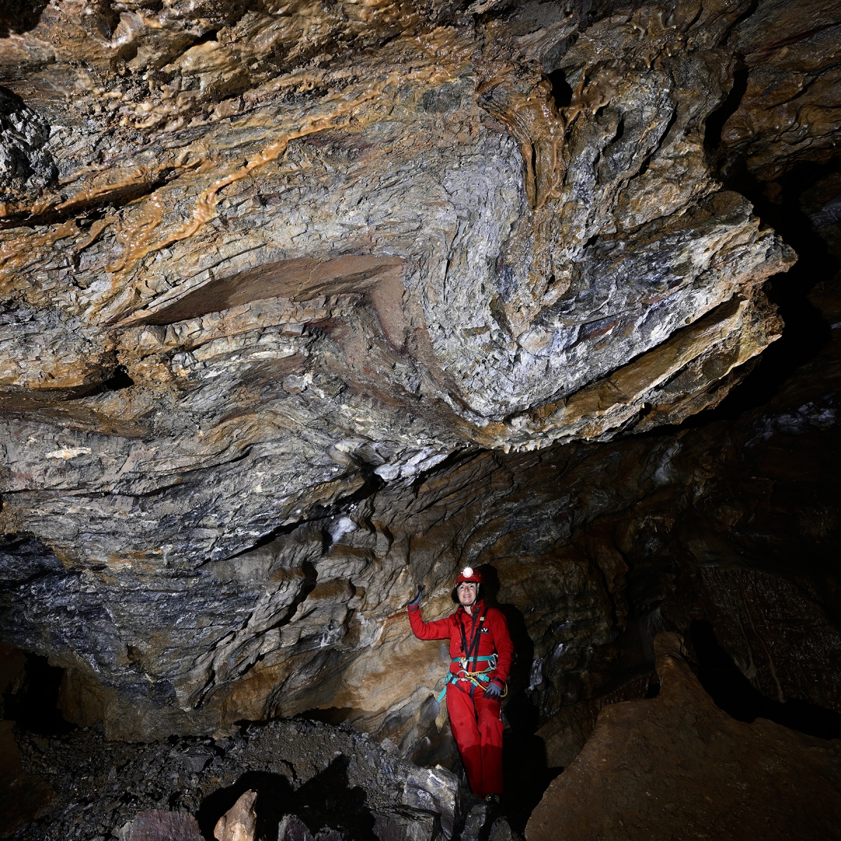 Grotte de la Devèze (Hérault) - Pli dans une galerie (vue d'ensemble)