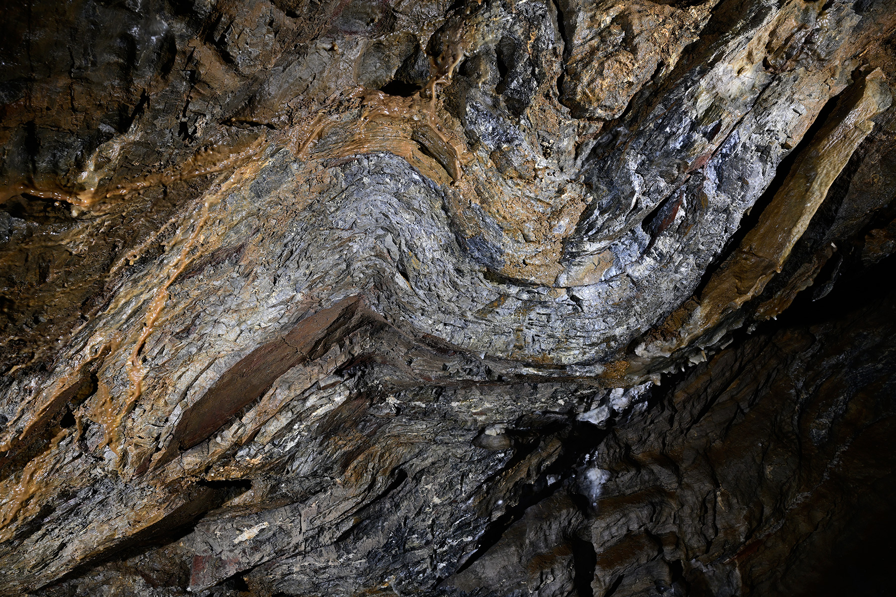 Grotte de la Devèze (Hérault) - Pli dans une galerie (détail)