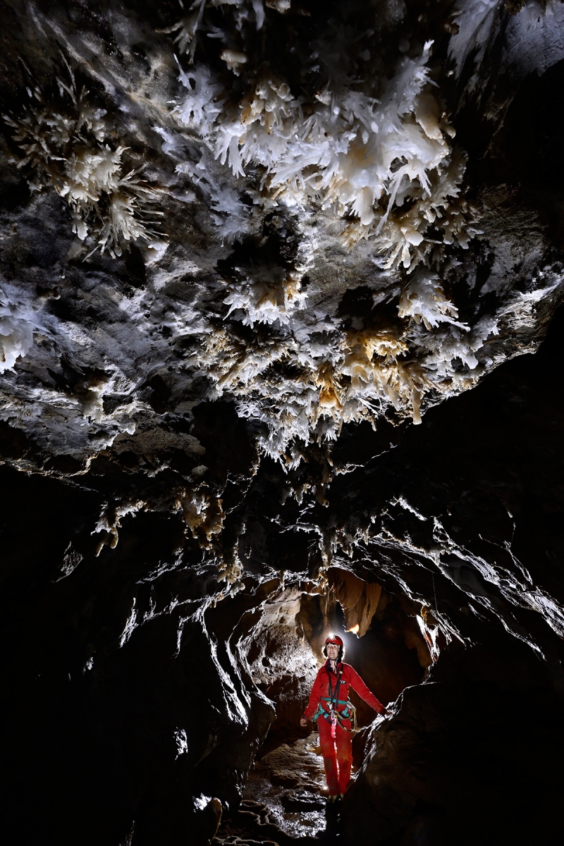 Grotte de la Devèze (Hérault) - Partie non aménagée - Galerie tubulaire avec bouquets d'aragonite au plafond 