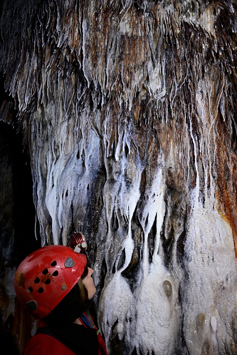 Grotte de Lodève (Hérault) - Ensemble de stalactites et coulées colorées
