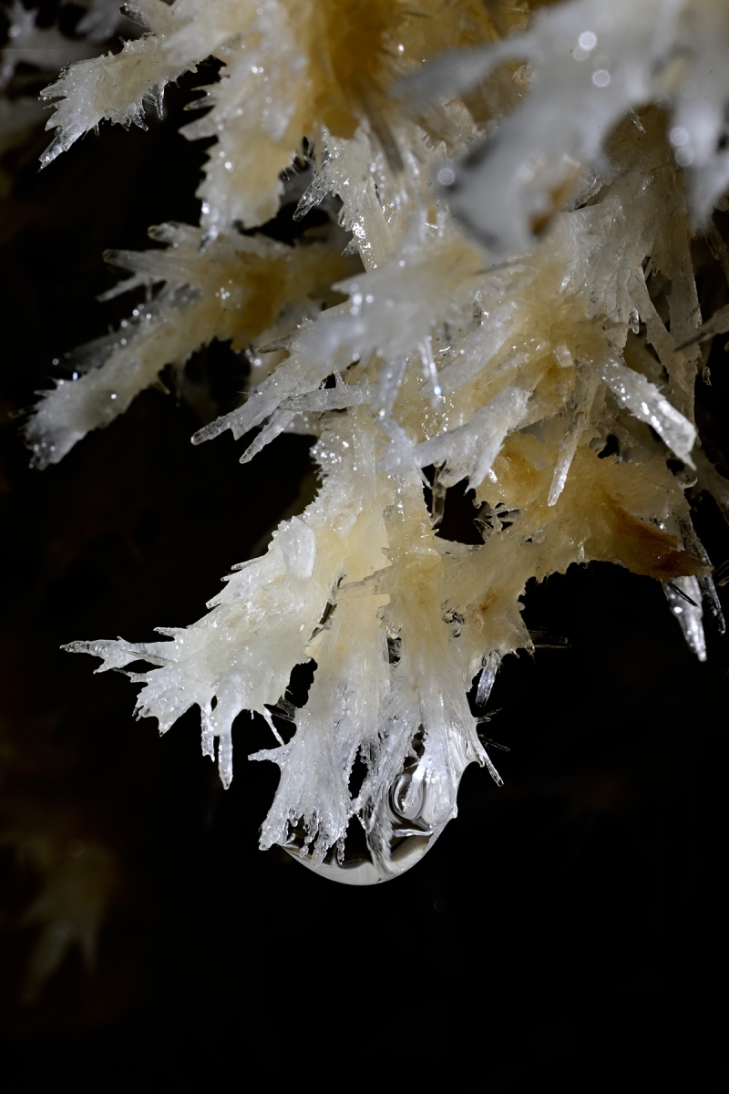 Grotte de la Douch (Hérault) - Goutte d'eau prise dans des aiguilles d'aragonite