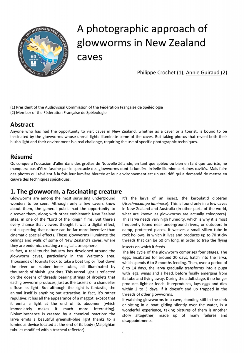 A photographic approach of glowworms - Page 1 (A photographic approach of glowworms - Page 1) A photographic approach of glowworms - Page 1