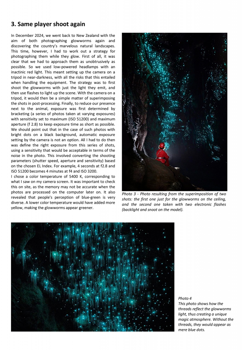 A photographic approach of glowworms - Page 3