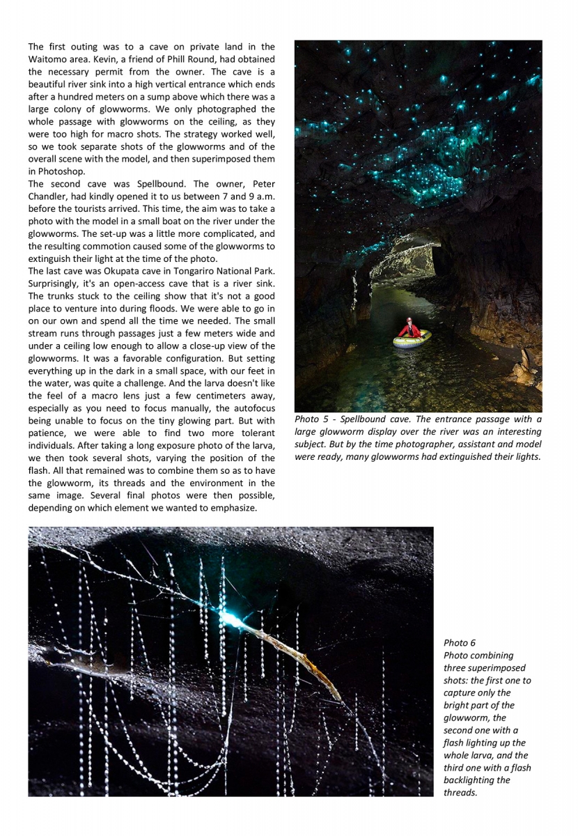 A photographic approach of glowworms - Page 4