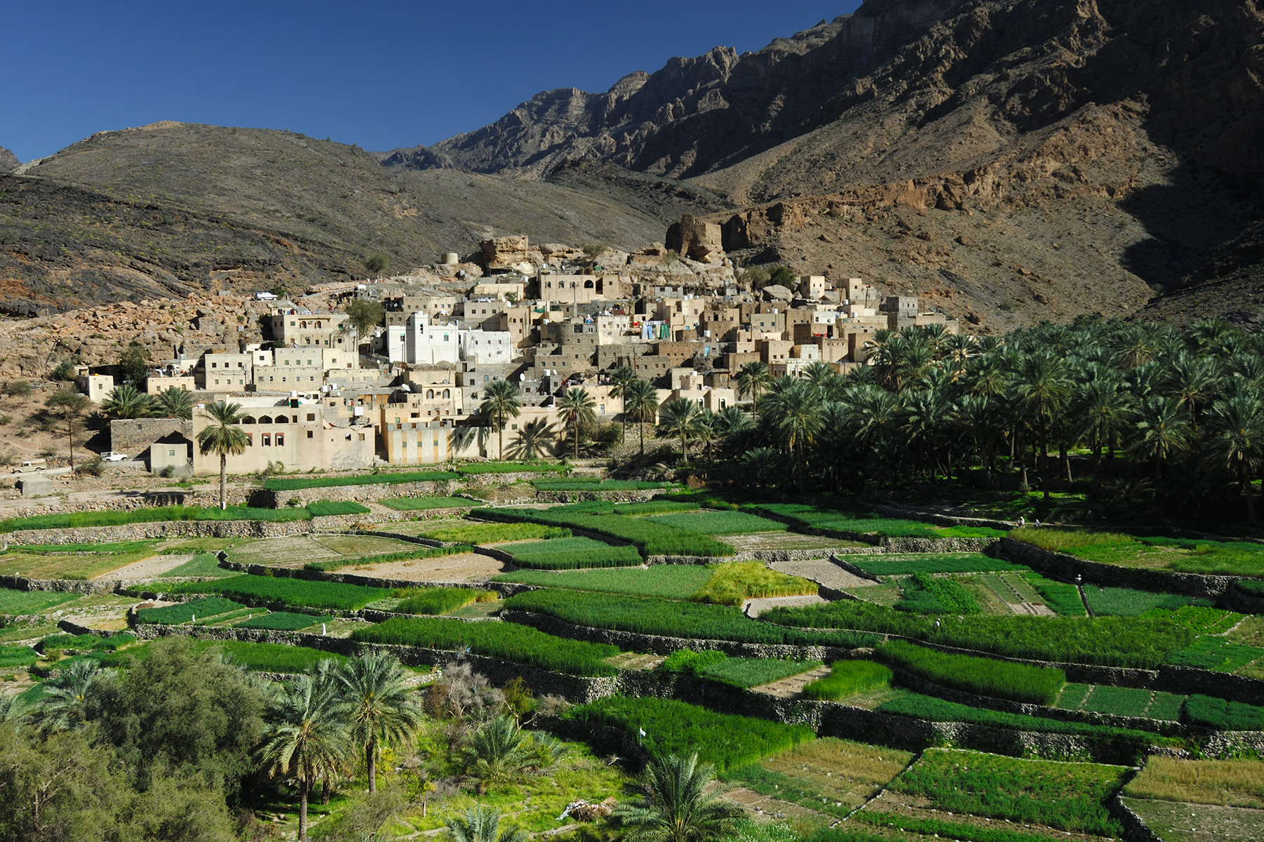 Sultanat d'Oman - Village de Balad Sayt avec patchwork de champs cultivés