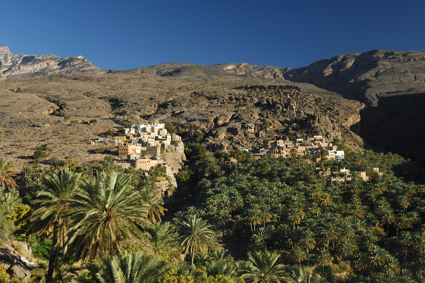 Sultanat d'Oman - Vieux village de Misfat avec sa palmeraie dans la vallée