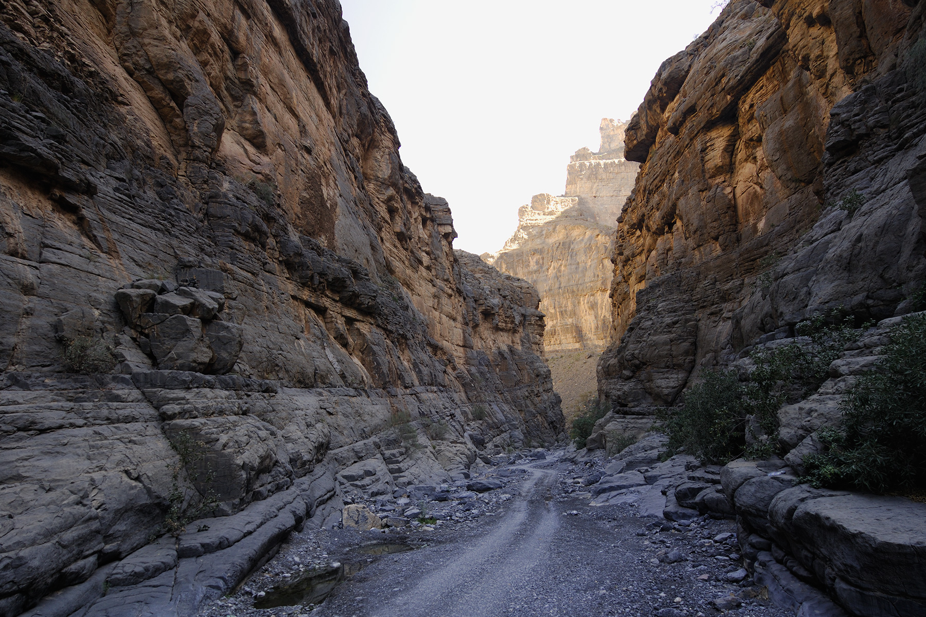 Sultanat d'Oman - Piste au fond du wadi An Nakhur