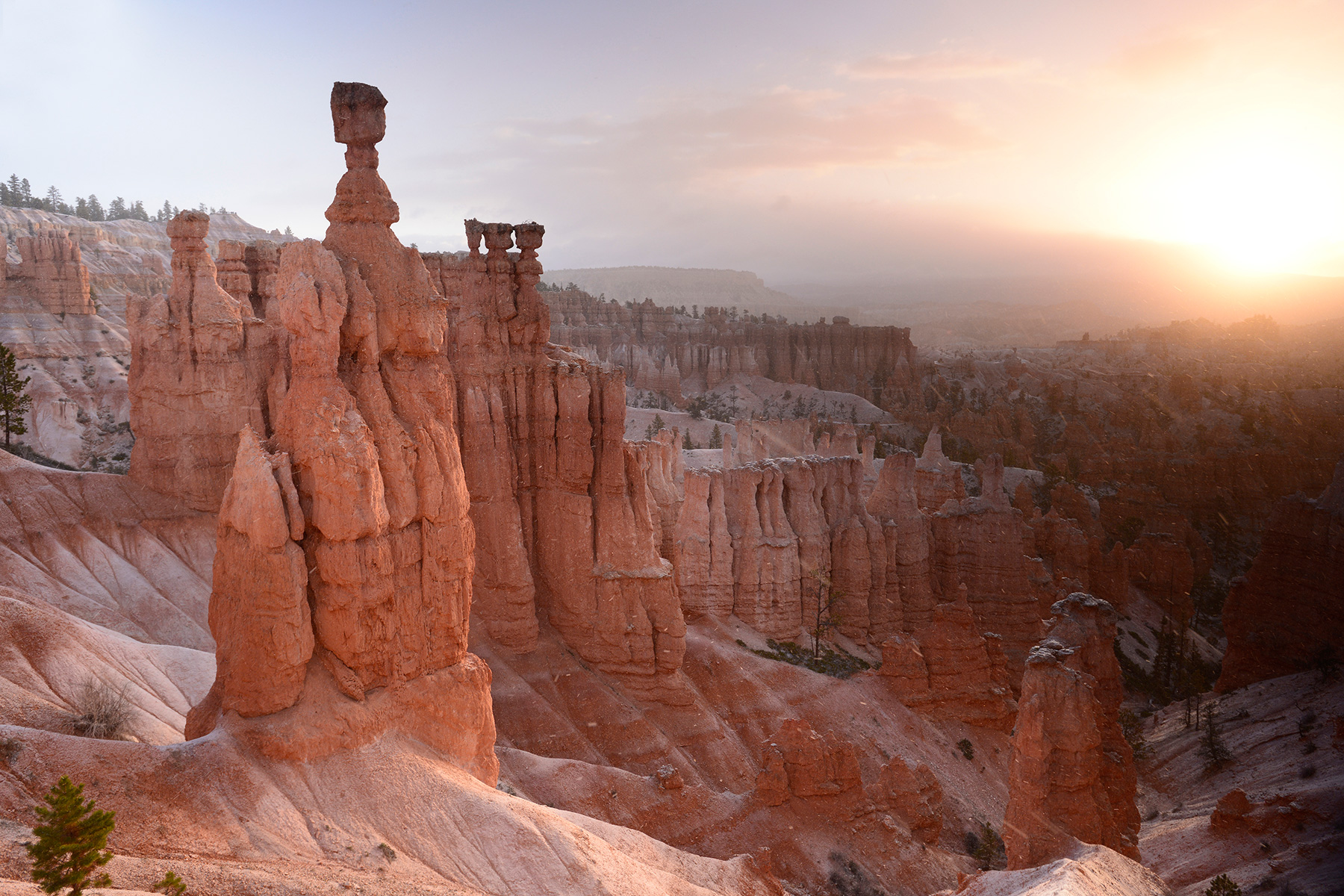 Bryce Canyon (Utah, USA)- Thor Hammer au lever du soleil