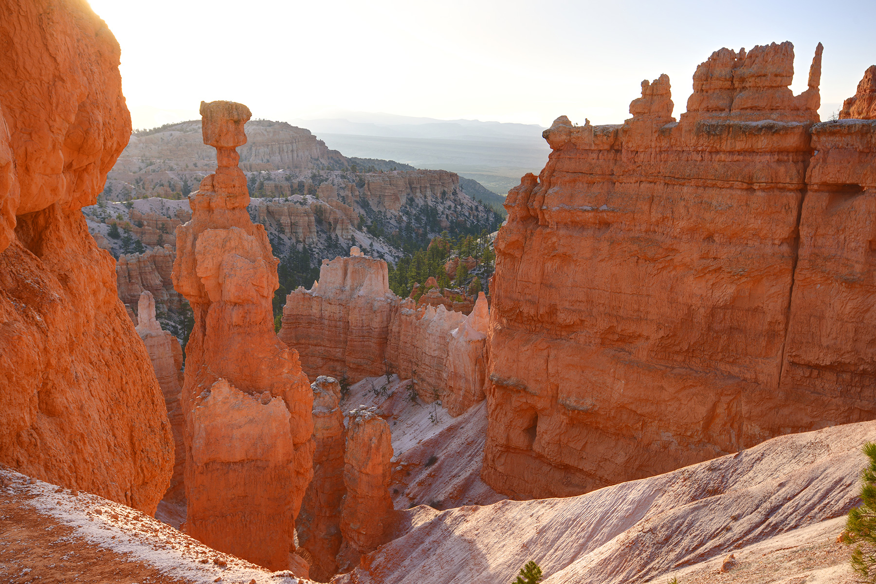 Bryce Canyon (Utah, USA)- Thor Hammer au lever du soleil