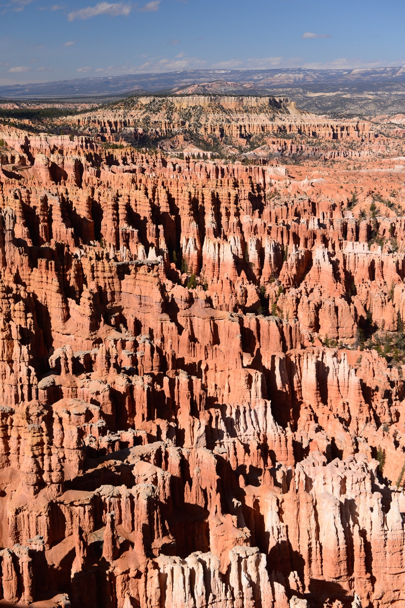 Bryce Canyon (Utah, USA) 