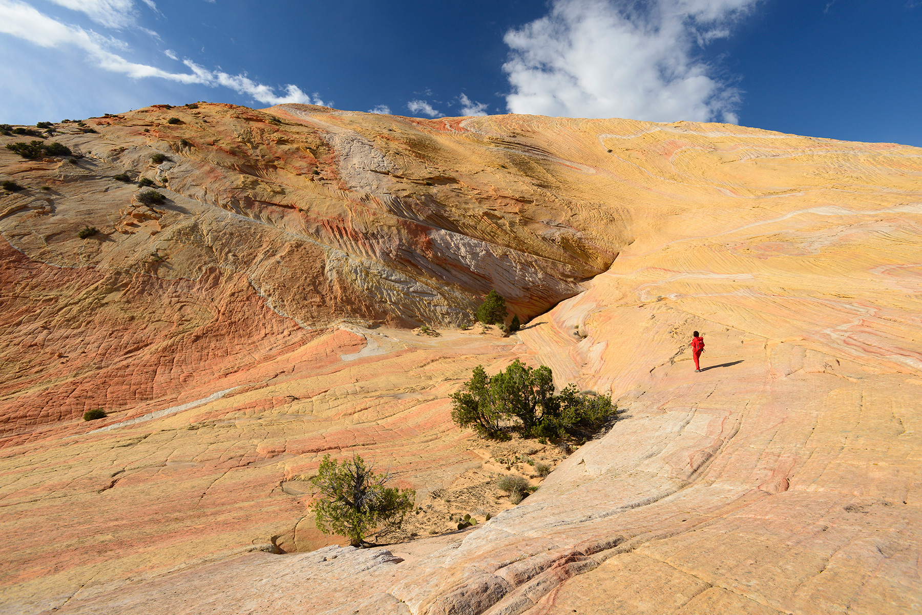 Grand Staircase Escalante National Monument (Utah, USA)- versant sud de Yellow Rock