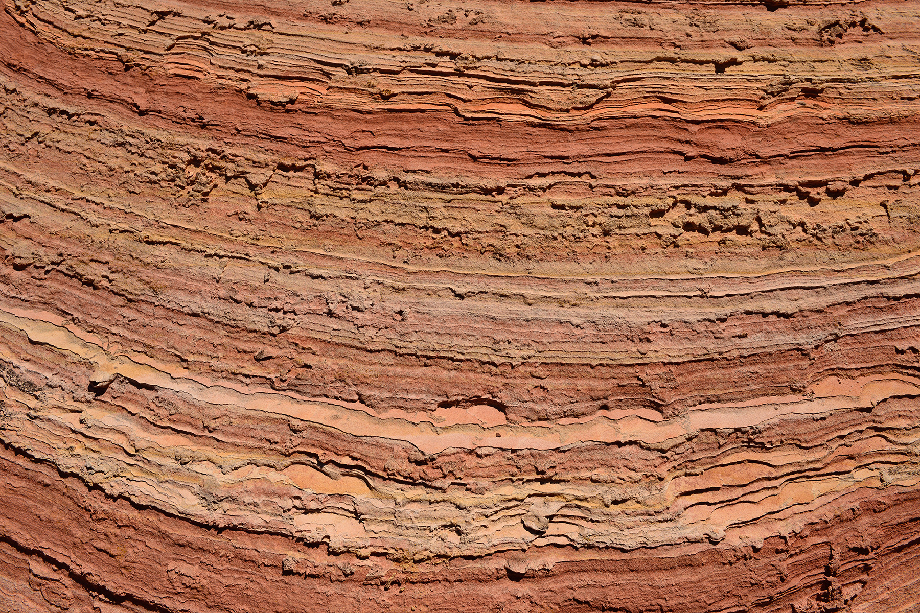 Vermilion Cliffs National Monument (Utah, USA) - détail des grès colorés de Cottonwood Cove