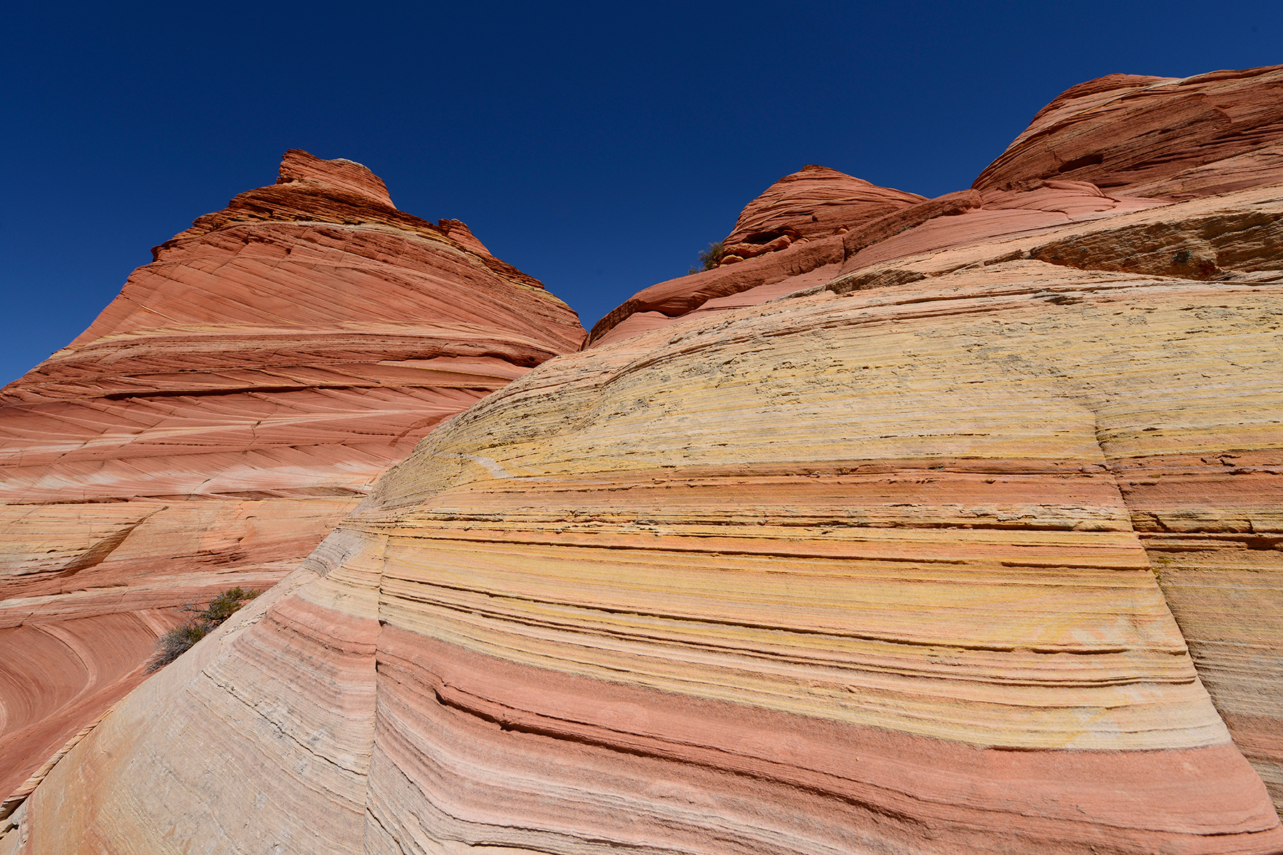 Vermilion Cliffs National Monument (Utah, USA) - grès colorés de Cottonwood Cove