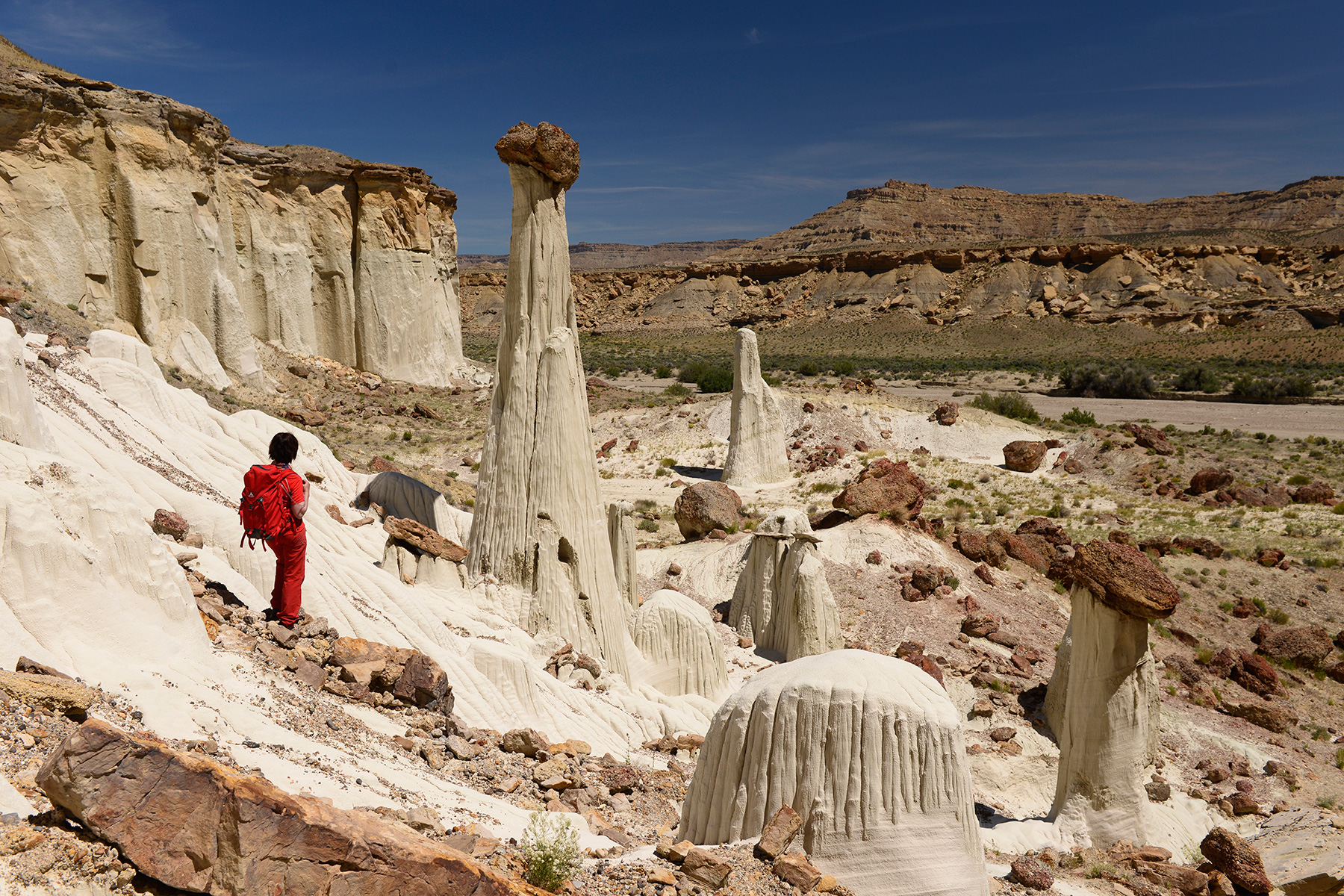 Grand Staircase Escalante National Monument (Utah, USA) - Wahweap Hoodoos : Towers of Silence