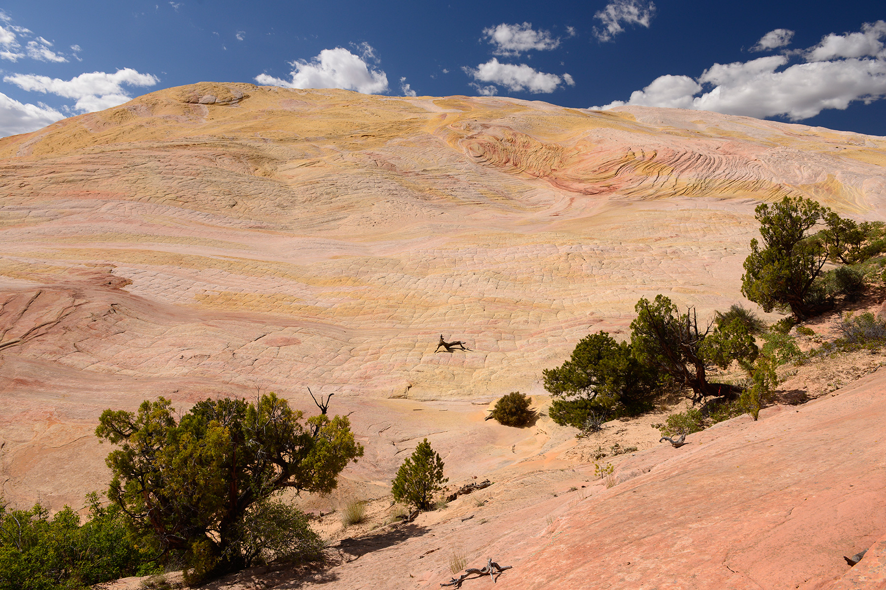 Grand Staircase Escalante National Monument (Utah, USA)- vue générale de Yellow Rock