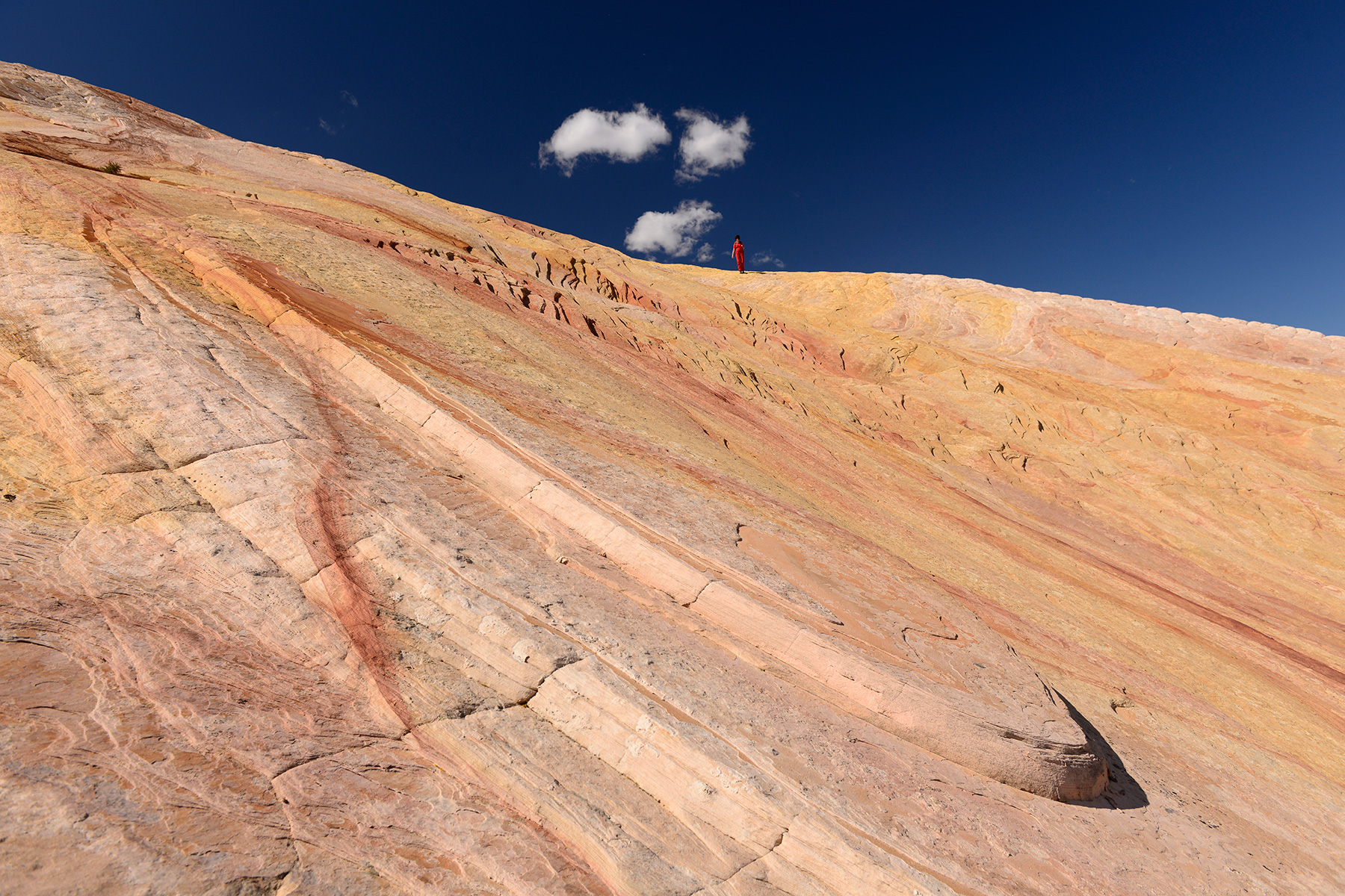 Grand Staircase Escalante National Monument (Utah, USA)- grès colorés de Yellow Rock