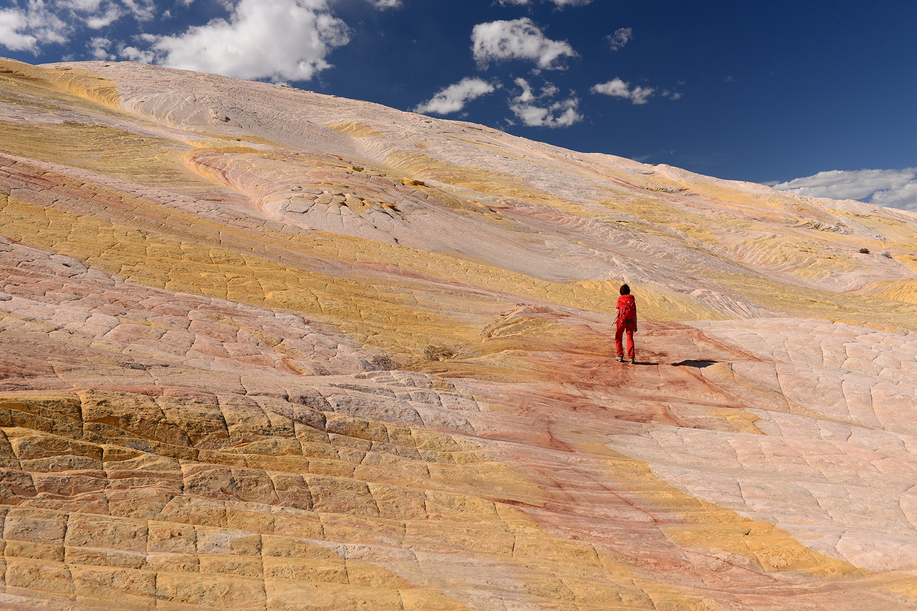 Grand Staircase Escalante National Monument (Utah, USA)- grès colorés de Yellow Rock