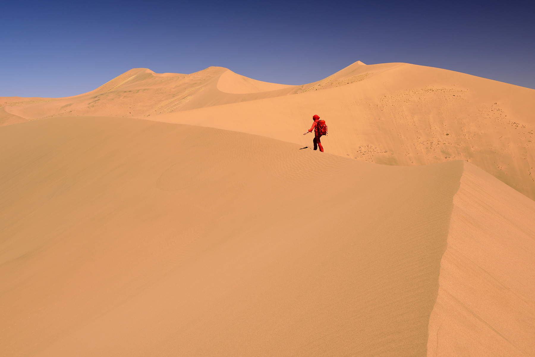 Désert du Badain Jaran (Chine, Mongolie Intérieure) - Enchaînement de dunes géantes avec randonneuse en rouge marchant sur la crête 