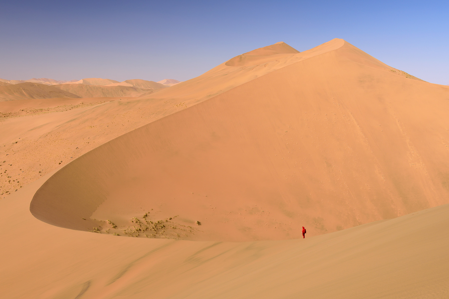 Désert du Badain Jaran (Chine, Mongolie Intérieure) - Randonneuse au loin  sur la crête d'une grande dune formant une large échancrure.