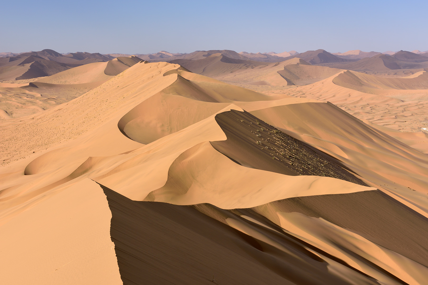 Désert du Badain Jaran (Chine, Mongolie Intérieure) -Vue générale d'un enchaînement de grandes dunes.