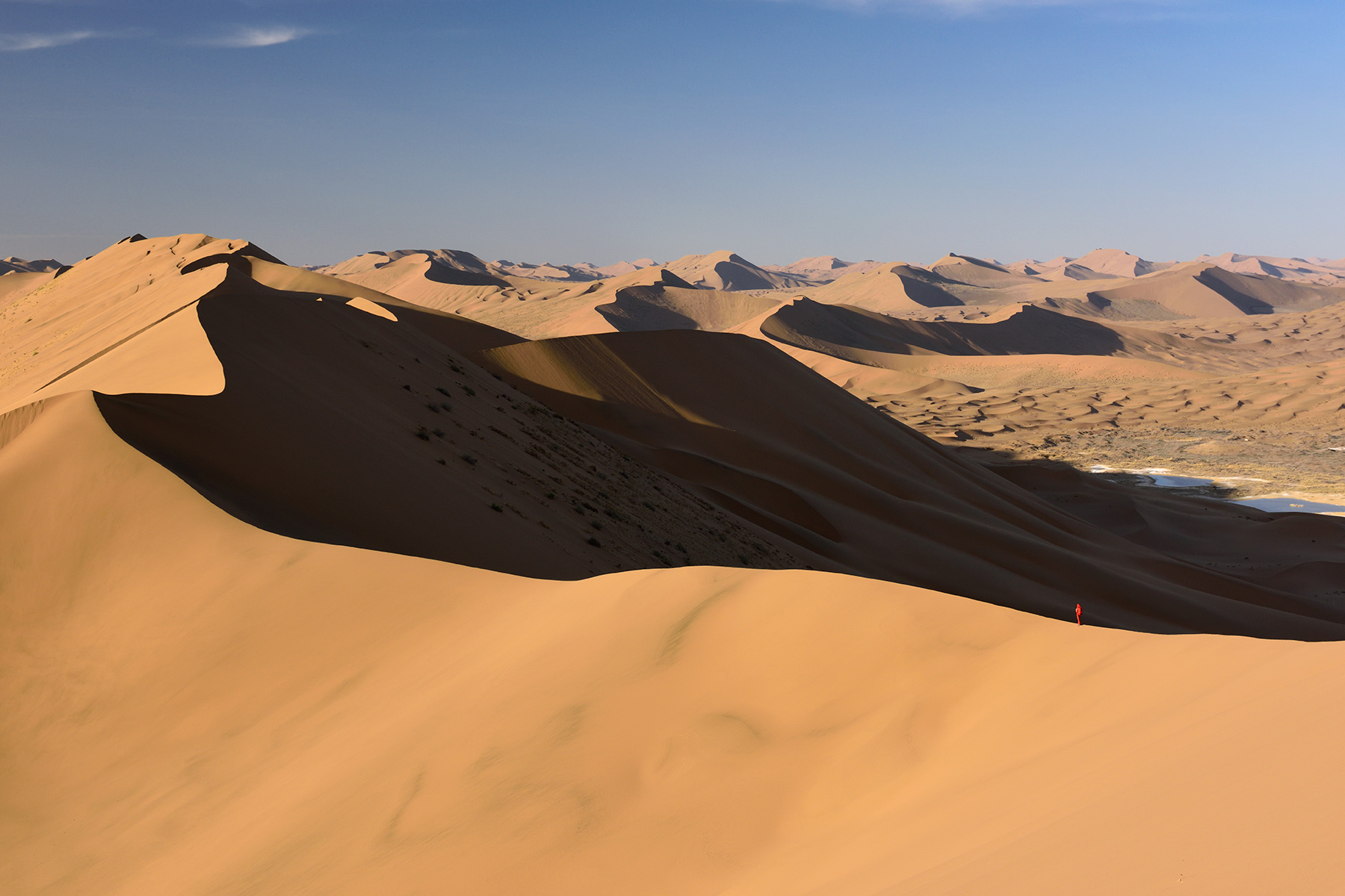 Désert du Badain Jaran (Chine, Mongolie Intérieure) - Vue générale d'un enchaînement de grandes dunes avec randonneuse au loin sur la crête. un versant éclairé par le soleil couchant et un versant à l'ombre 