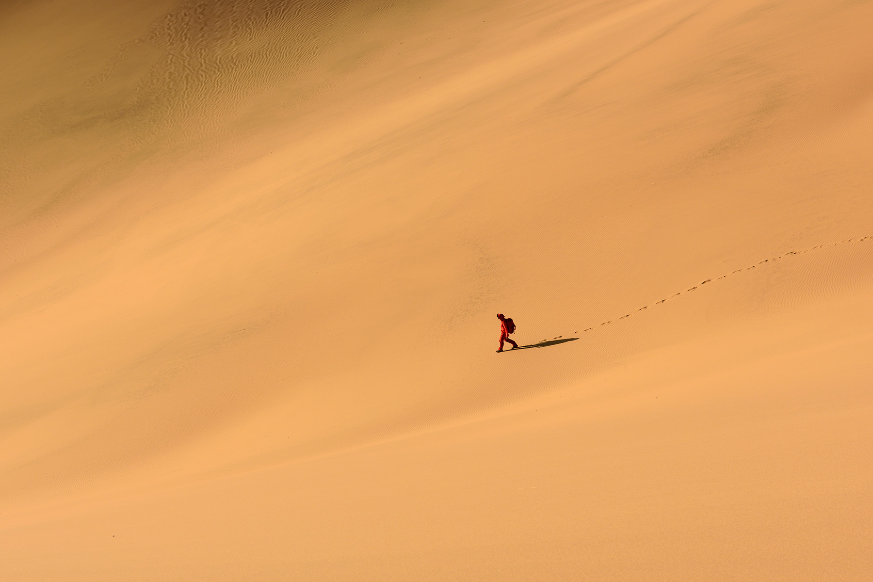Désert du Badain Jaran (Chine, Mongolie Intérieure) - Randonneuse descendant le versant d'une grande dune éclairé par le soleil couchant