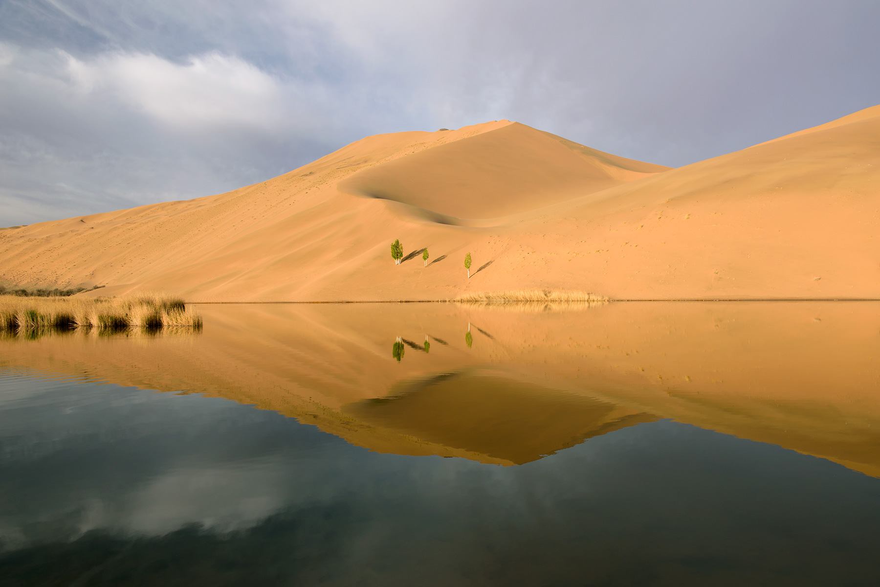 Désert du Badain Jaran (Chine, Mongolie Intérieure) - Lac au pied des dunes près de l'hôtel Hu.