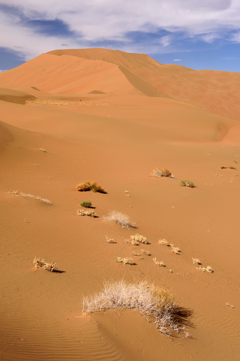 Désert du Badain Jaran (Chine, Mongolie Intérieure) - Versant sud de la dune de Bilutu