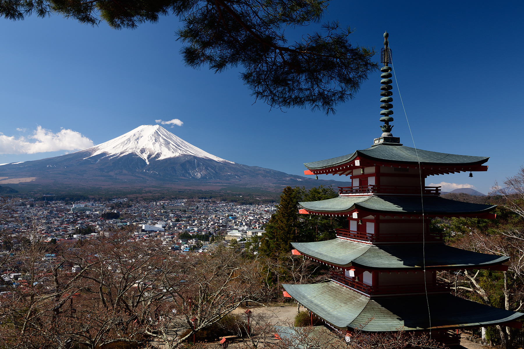 fresque asiatique geisha pagode torii cerisiers mont fuji