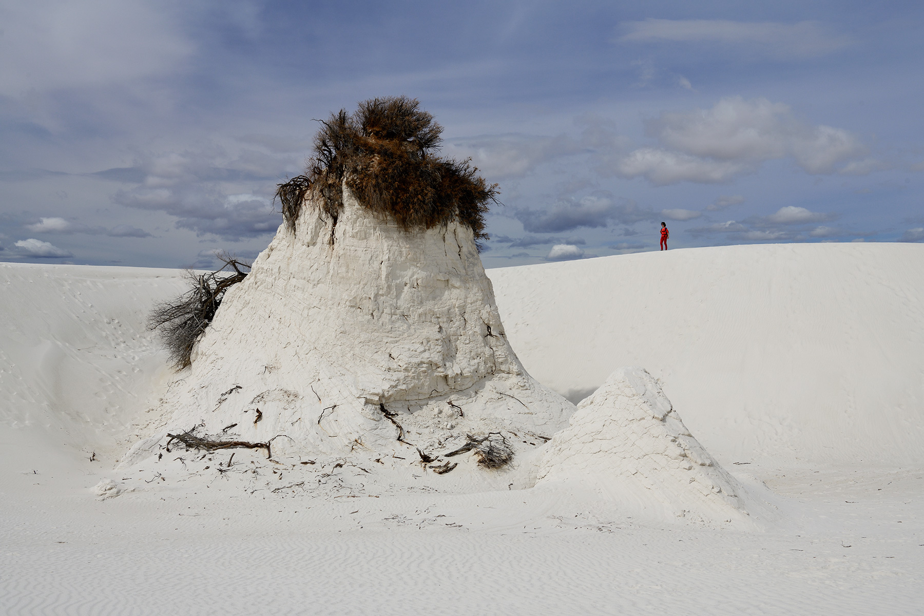 White Sands National Park (Nouveau Mexique, USA) - Monticule de gypse avec arbuste à son sommet, au milieu des dunes de sable blanc 