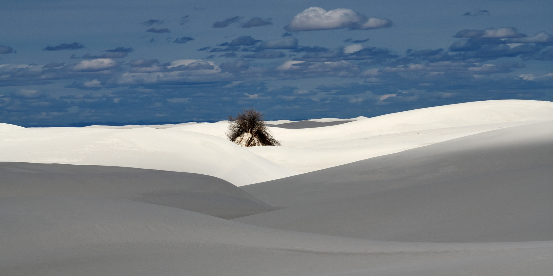 White Sands National Park (Nouveau Mexique, USA) - Monticule de gypse avec arbuste se détachant au milieu de dunes de sable blanc (premier plan à l'ombre)