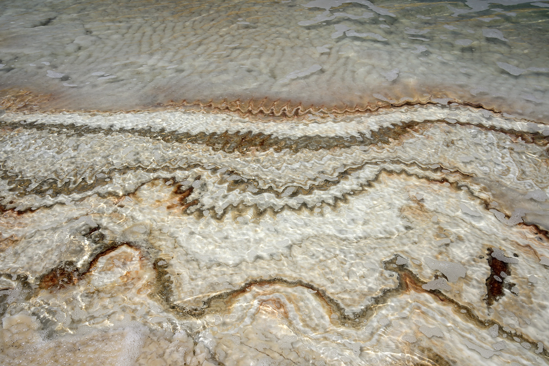 Mer Morte (Israël) - Détail de la formation de strates ondulées de sel par l'effet des vagues au bord de l'eau