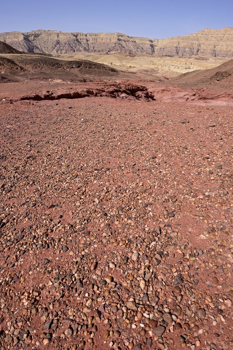 Parc national de Timna (Israël) - Observation point : tapis de galets sur des grès rouges 