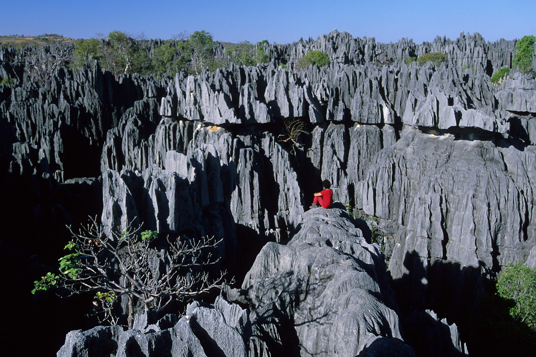 Madagascar - Les Grands Tsingys de Bemahara (personnage en rouge sur piton)
