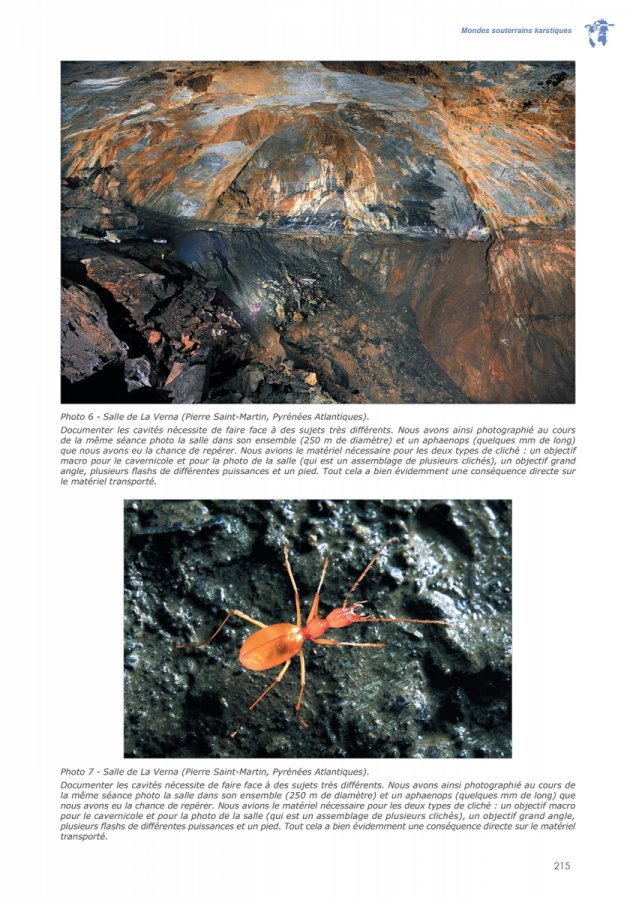 Dynamiques environnementales 54-55 Page 215(Dynamiques environnementales 54-55 Page 215)