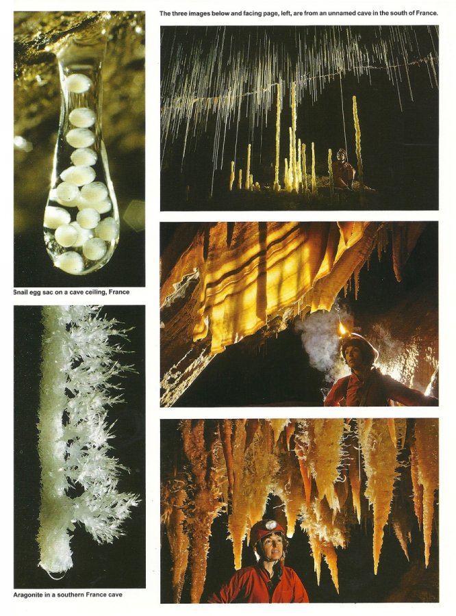 nss-news-july-2009-page-21(NSS News July 2009 - Page 21)