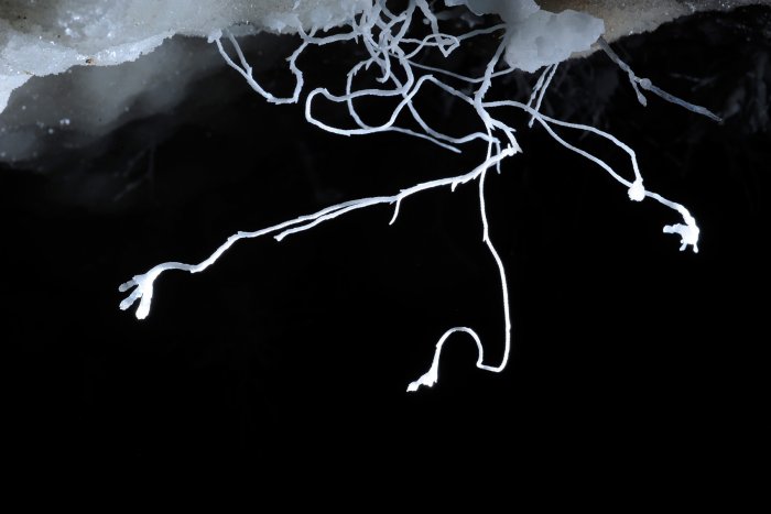 La grotte des Canalettes dans les Pyrénées Orientales est constituée d'un vaste réseau aux paysages très variés