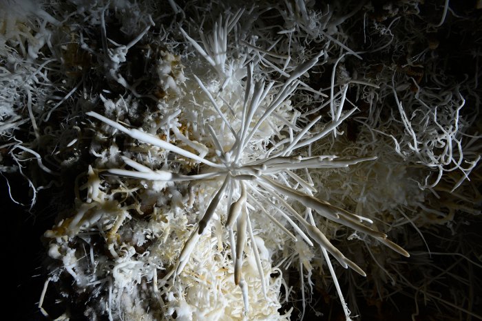La grotte de Malaval, en Lozère est caractérisée par un concrétionnement exceptionnel notamment en aragonite aciculaire et coralloïde