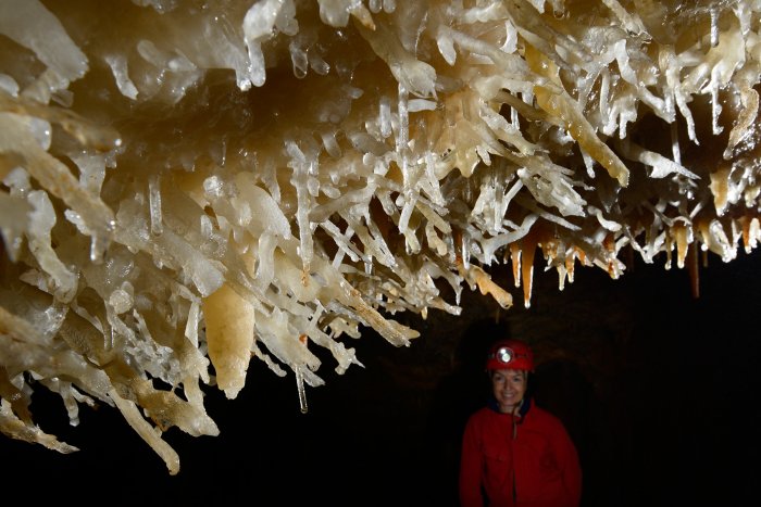 La grotte de la Toussaint est une cavité située sur la commune de Tharaux dans le Gard. Très concrétionnée, elle présente notamment des excentriques de calcite très pures et originales. L'accès à cette cavité, protégée par une porte, est géré par le groupe spéléologique local.