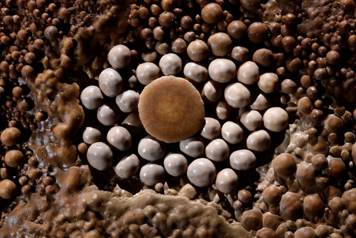 Cette cavité, aussi appelée "Grotte des Perles" est située à la limité de l'Aveyron et de l'Hérault. Elle est réputée pour ses magnifiques perles.