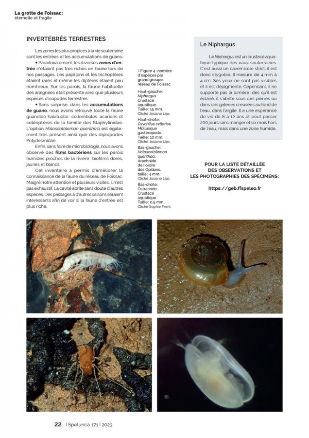 Spelunca 171 Page 22(Spelunca 171 Page 22)