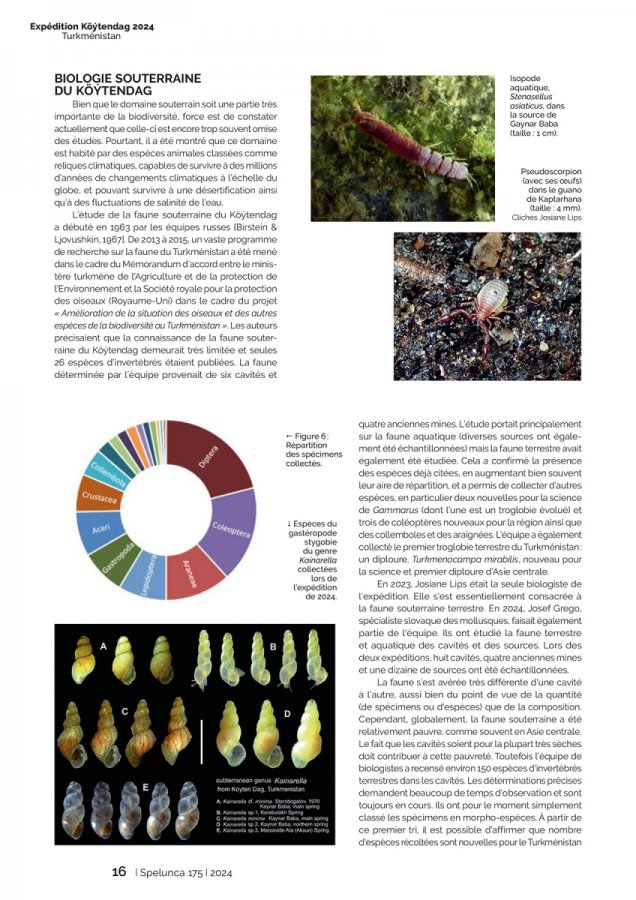 Spelunca 175 Page 16(Spelunca 175 Page 16)