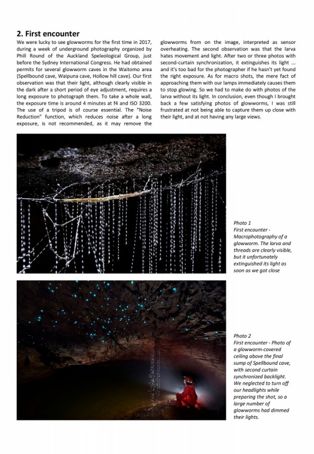 A photographic approach of glowworms - Page 2(A photographic approach of glowworms - Page 2)