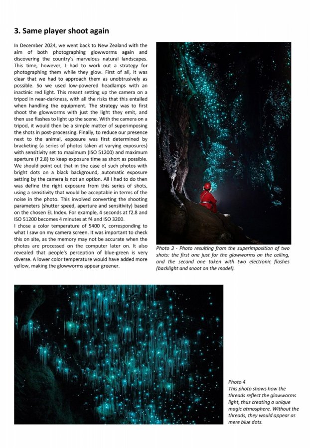 A photographic approach of glowworms - Page 3(A photographic approach of glowworms - Page 3)