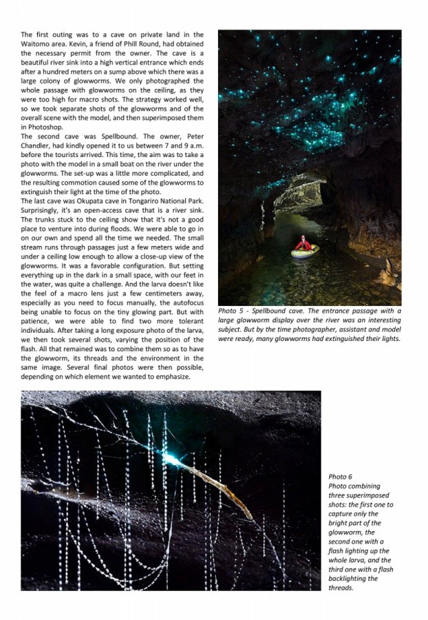 A photographic approach of glowworms - Page 4(A photographic approach of glowworms - Page 4)