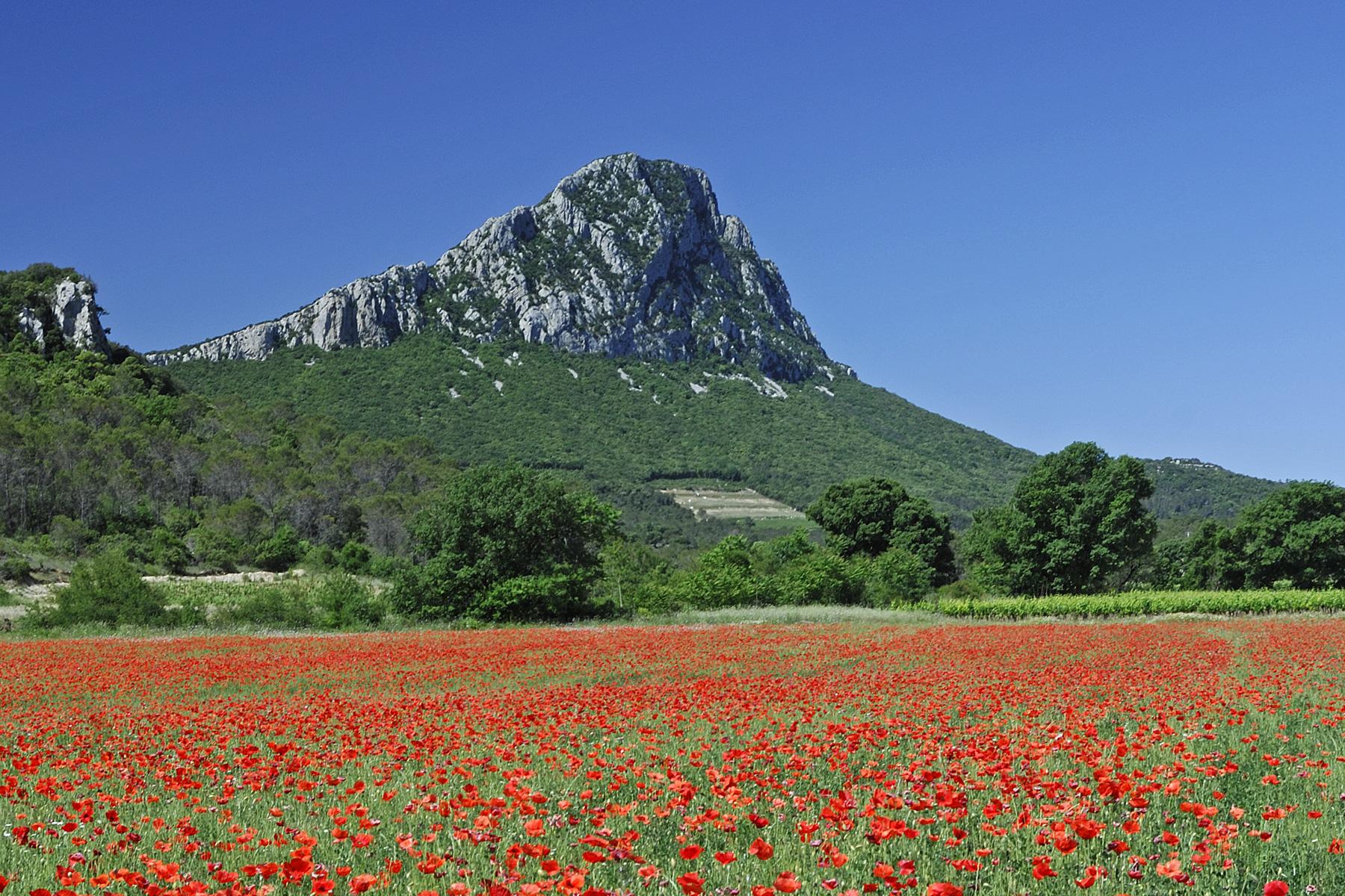 Photo Pic Saint Loup H rault Cr te Ouest sommet Du Pic Saint Loup 
