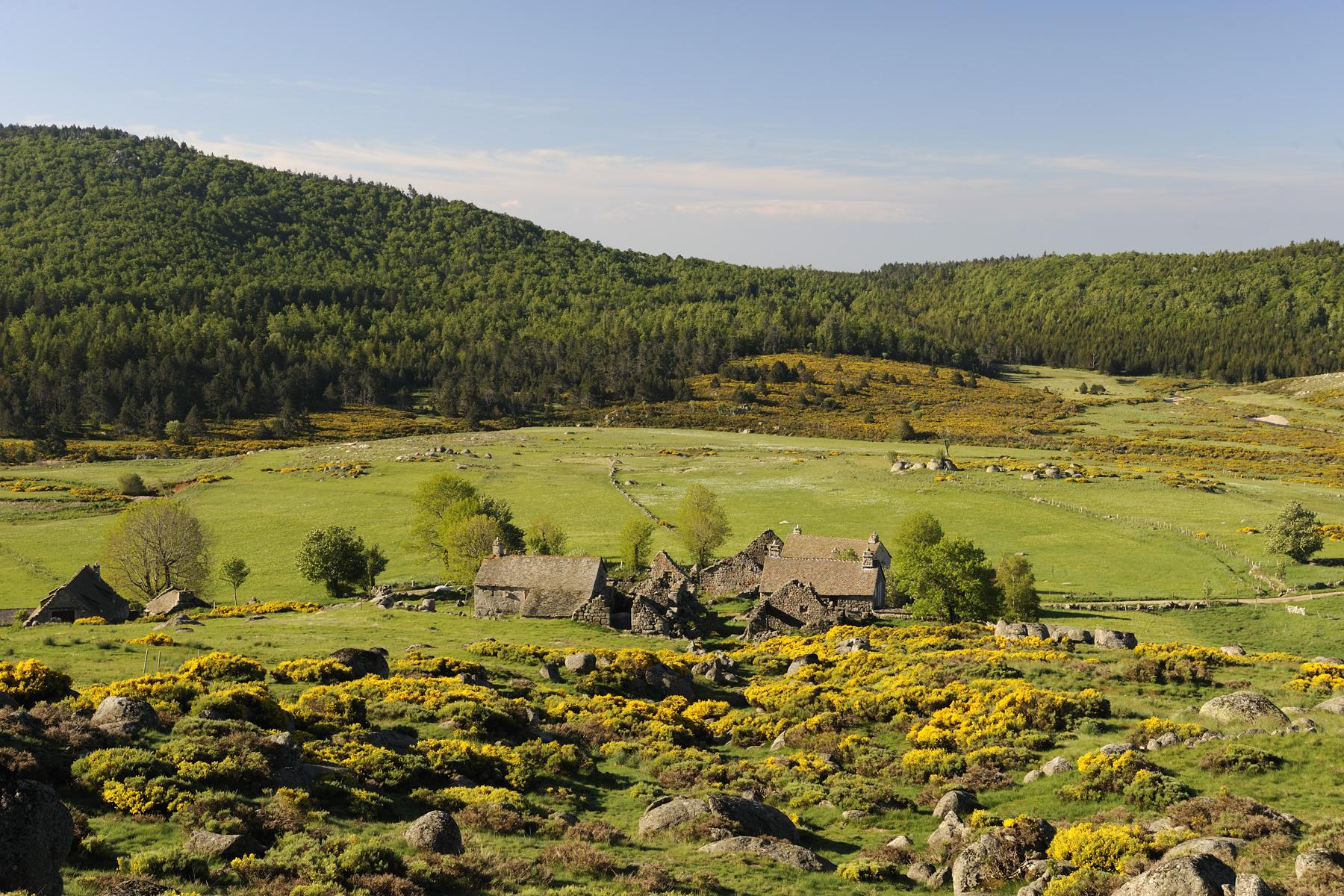 lozere cevennes