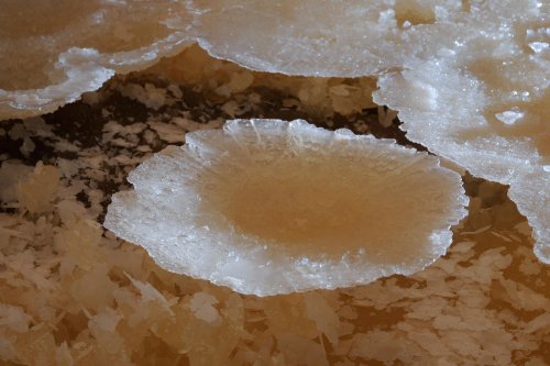 Grotte du Cirque (Lot) - Coupelle de calcite(SP 10-0678)